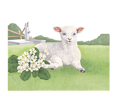 Lamb and primrose <br>
The Post & Go set of stamps on Jersey farm animals and local flora <br>
Client: Jersey Post <br>