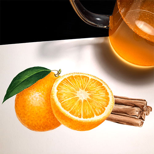 Orange and cinnamon, Citrus aurantium - <em>Cinnamomum verum </em><br>
Label illustration for Canbifry <br>
Client: SALD S.A.S. <br>