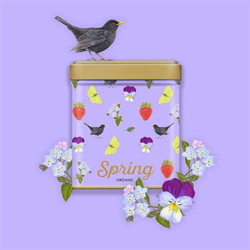 Spring <br>
Packaging art <br>