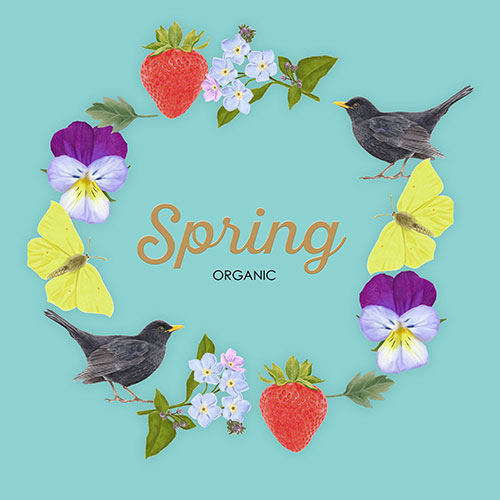 Spring <br>
Packaging art <br>