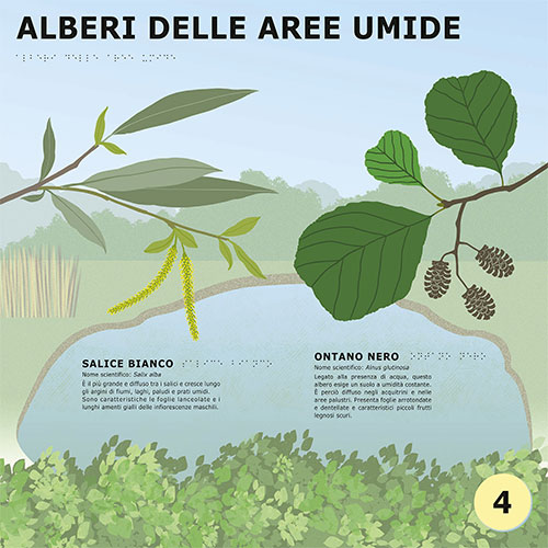 Alberi delle aree umide <br>
Pannelli tattili con elementi in rilievo per percorso naturalistico accessibile <br>
Client: Parco dei Mughetti <br>
Idea e progetto di Gianluca Larroux, Idrogea Servizi srl. <br>