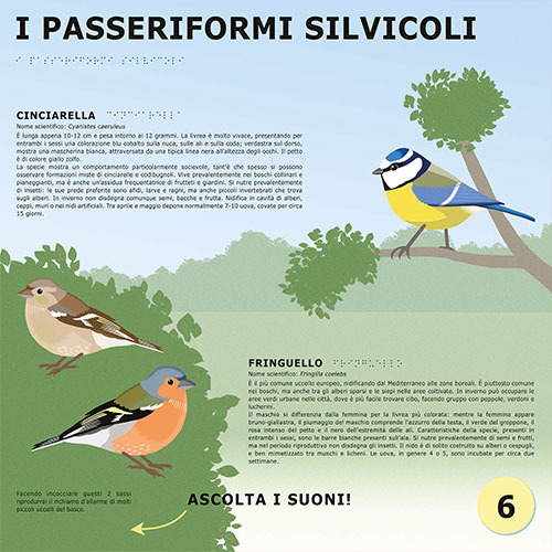 I passeriformi silvicoli <br>
Pannelli tattili con elementi in rilievo per percorso naturalistico accessibile <br>
Client: Parco dei Mughetti <br>
Idea e progetto di Gianluca Larroux, Idrogea Servizi srl. <br>