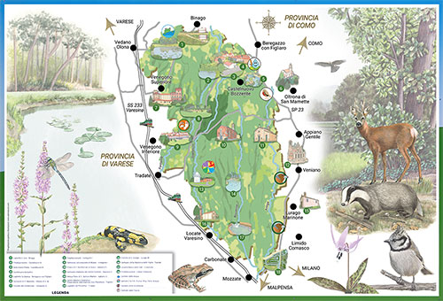 Mappa illustrata <br>
Pannello per facciata sede del Parco  <br>
Client: Parco Pineta di Appiano Gentile e Tradate<br>